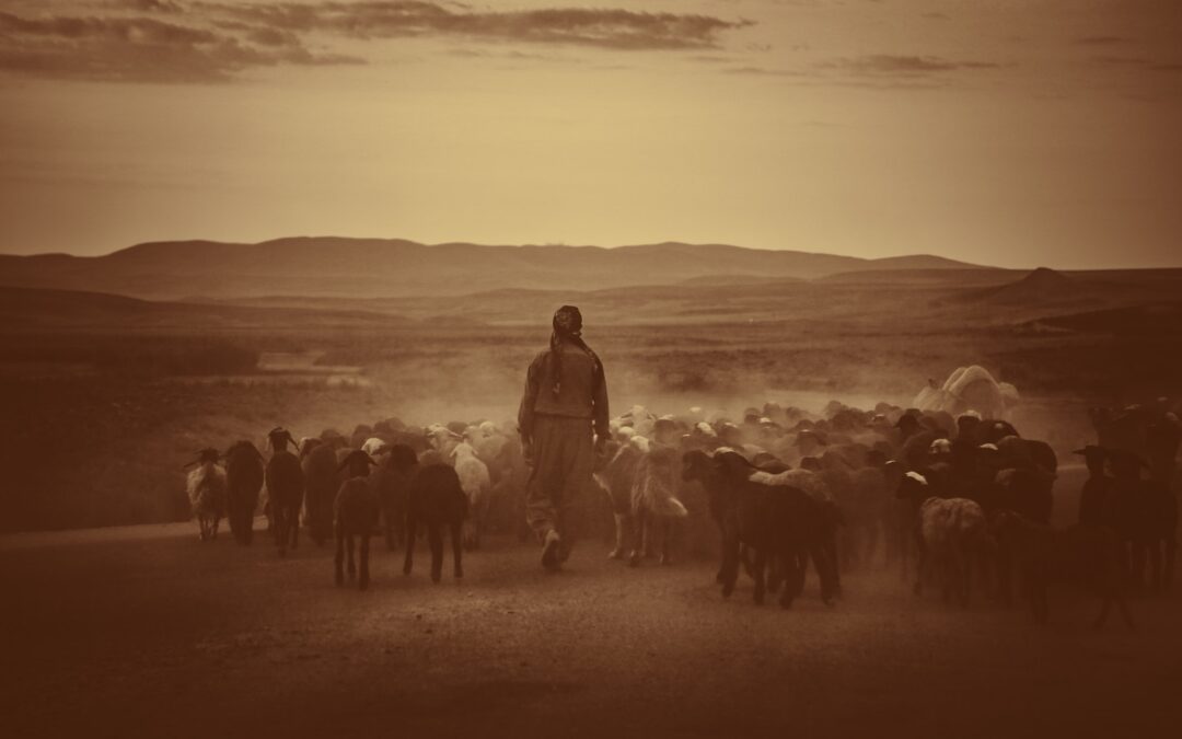 Going to Kigali to Hear the Shepherd’s Voice