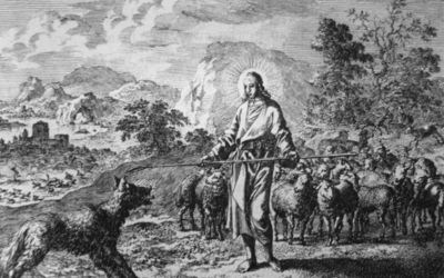 #262: A Godly Admonition: Austin Becton, C4SO, and Clergy Discipline