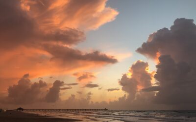 Easter Points to Advent